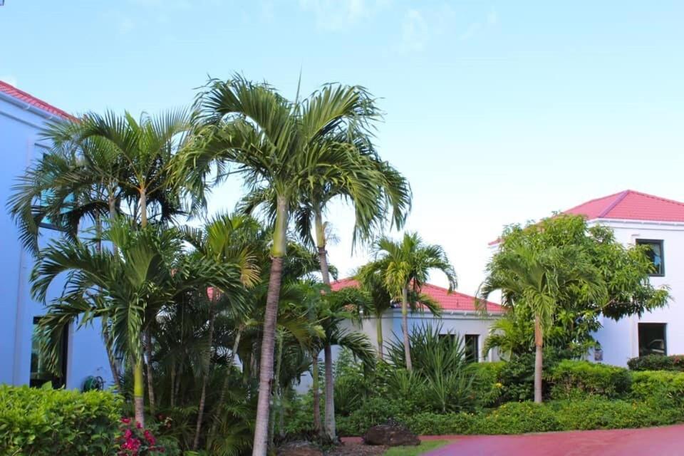 Serene Cruz Bay Villa Sep Mstr Kg Suite Stunning Sunsets Zewnętrze zdjęcie